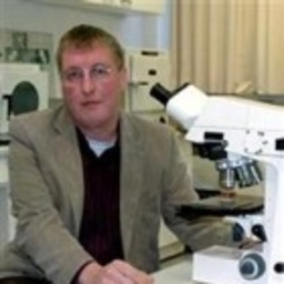 Prof. Dr. Olaf Krause