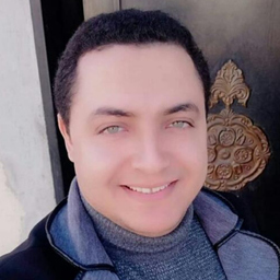 Mohammed Eltantawy