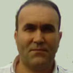 goran stojkov