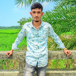 Mehedi Hassan rabbi