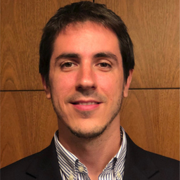 Javier Lasa Peña