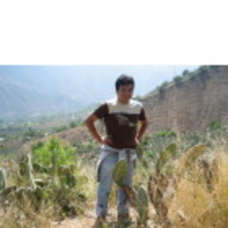 Juan Carlos Meneses Begazo