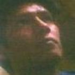 jim flores