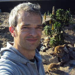 Jean-Michel Dupuyoo