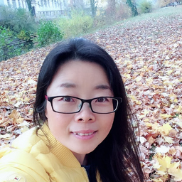 dmei shi