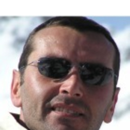Roberto Manfroni