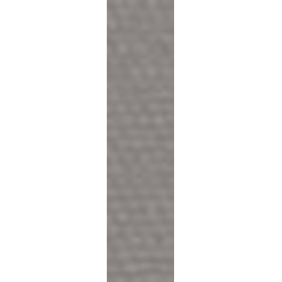 Anni Roll