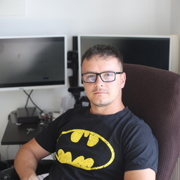 Daniel Ungureanu