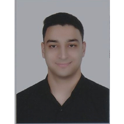 Mohamed Hamdy