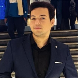 Ibrahim Abdelhafez 