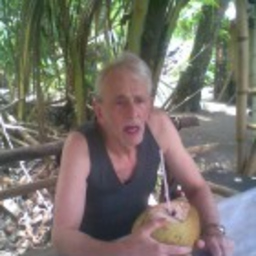 Alberto Guastini
