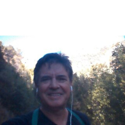 Julián Arturo Correcher Navarro