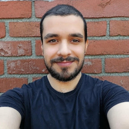 Felipe Rodrigues da Silva