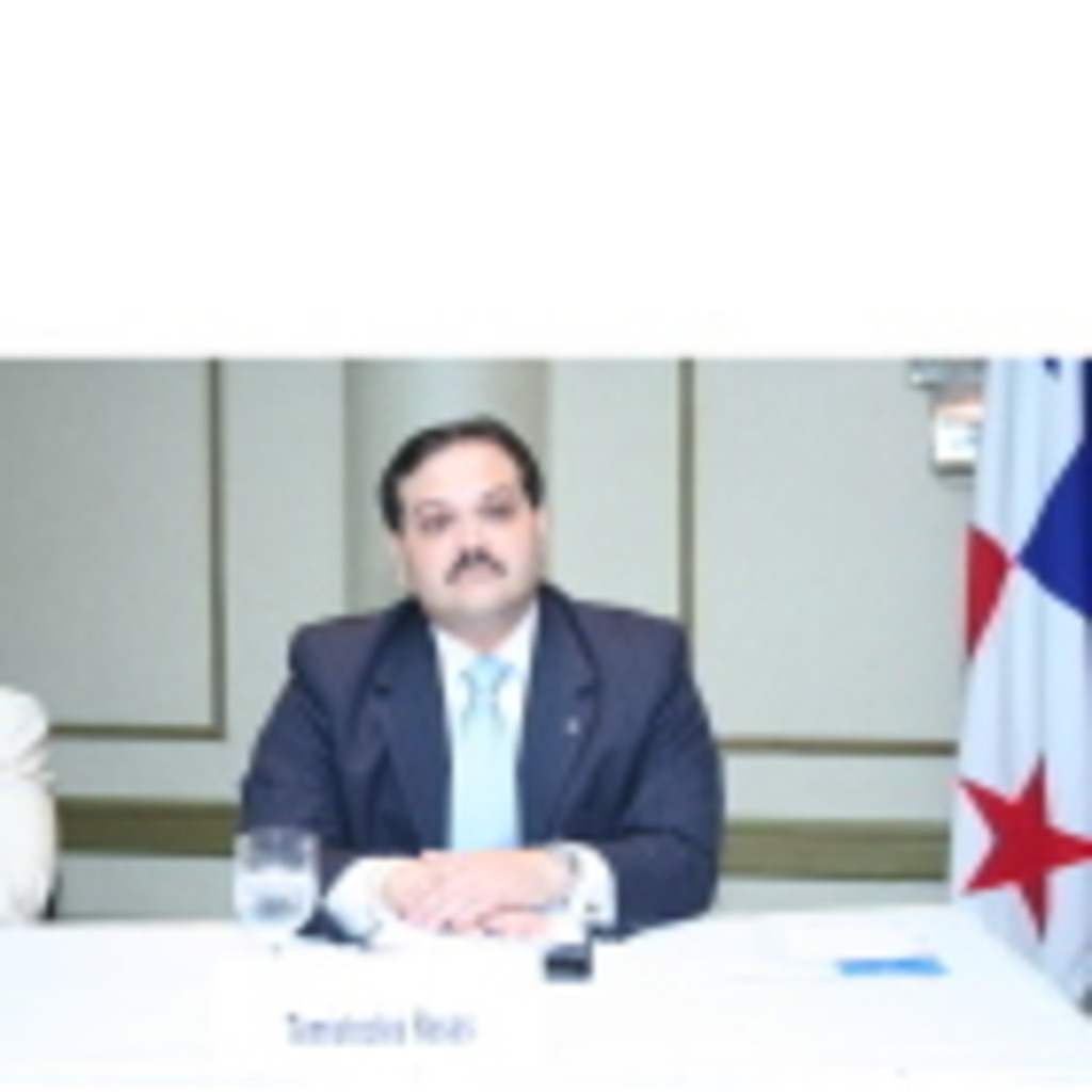 TEMISTOCLES ROSAS RODRIGUEZ SOCIO DIRECTOR CONSULTING PLUS, S.A