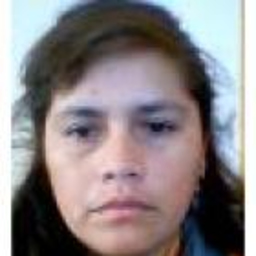 Sofia Villafuerte  Palomino