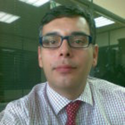 Luis Garrido Rodriguez