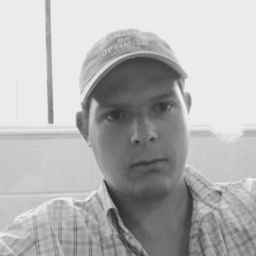 Ricardo Del Río Salazar
