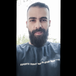 ali shahsavari