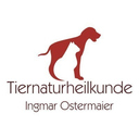 Ingmar Ostermaier