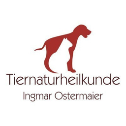Ingmar Ostermaier