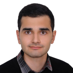 Seyed Masoud Javadin Divshali