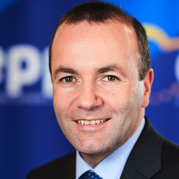 Dipl.-Ing. Manfred Weber