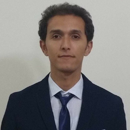 Ing. elyes Bahrini