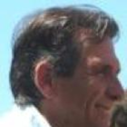 Riccardo Dini