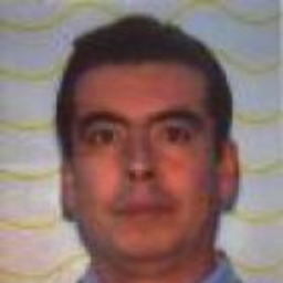 ALEJANDRO MARTINO YABER