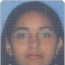 Stefany Prieto Navarro's profile picture