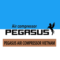 Pegasus Air Viet Nam