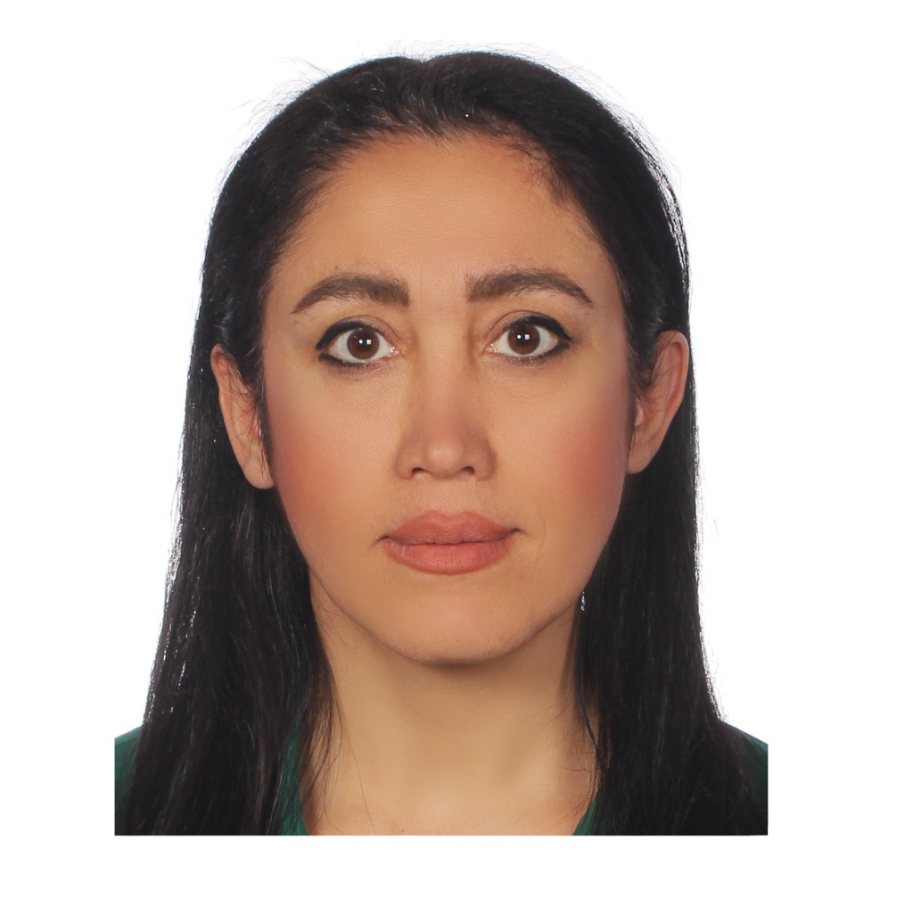 Sheida Davoudi Ausbildung und Berufserfahrung XING