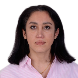 Sheida Davoudi