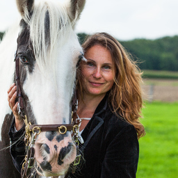 Simone Liebegut's profile picture