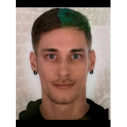 Florian Krone