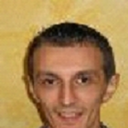 Srdjan Stevic's profile picture