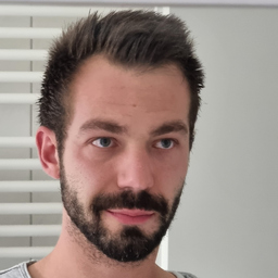 Sebastian Kiss's profile picture