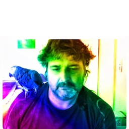 Heinz Peter Schwab