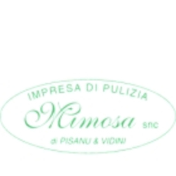 Pulizie Mimosa