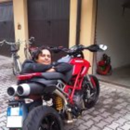 Dr. Luca Palmonari's profile picture