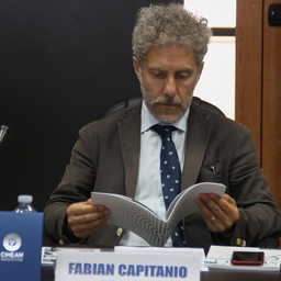Prof. Dr. Fabian Capitanio