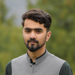Malik Taimoor
