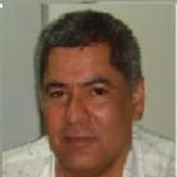 Prof. Ulises Anzola