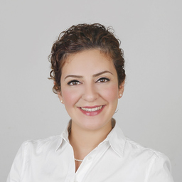 Dipl.-Ing. Arzu Vidin