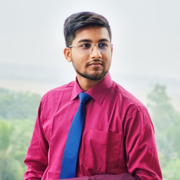Touhidur Rafi's profile picture