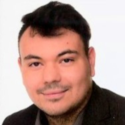 Jean Guedes Auditor
