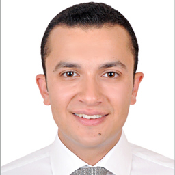 Mohamed Hussein - RF/RAN Capacity Planning Manager - Telecom Egypt | XING