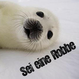 Dr. Robin See