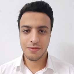 Mohamed Bassam's profile picture