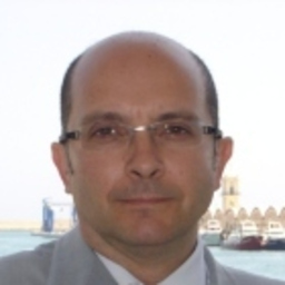 Francisco J. Redondo Molina